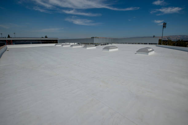 Best Commercial Roofing Services  in Genoa, OH